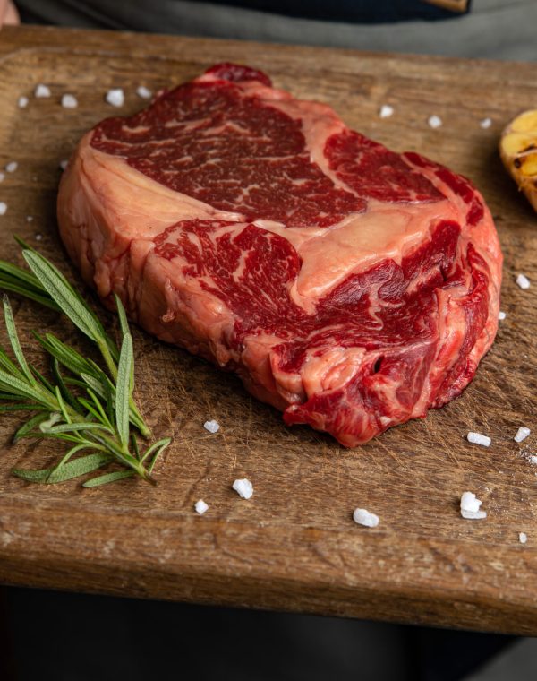 1h2F88i6b6Bh4WT3XBsy